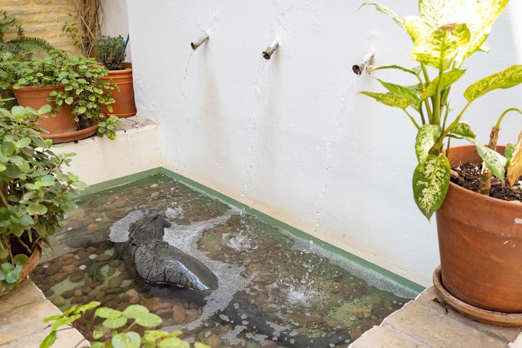 مبيت وإفطار Sanlúcar de Barrameda La Casa 1832 Boutique المظهر الخارجي الصورة